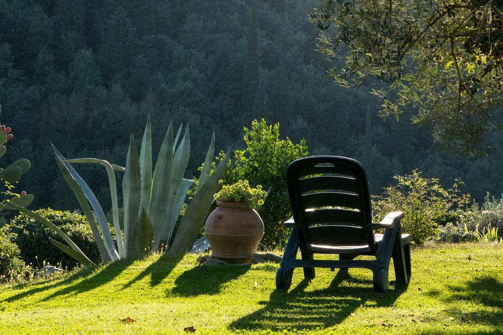 La Sassaia Villa Carmignano Kültér fotó