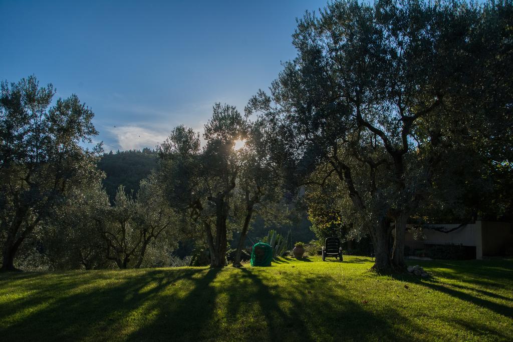 La Sassaia Villa Carmignano Kültér fotó
