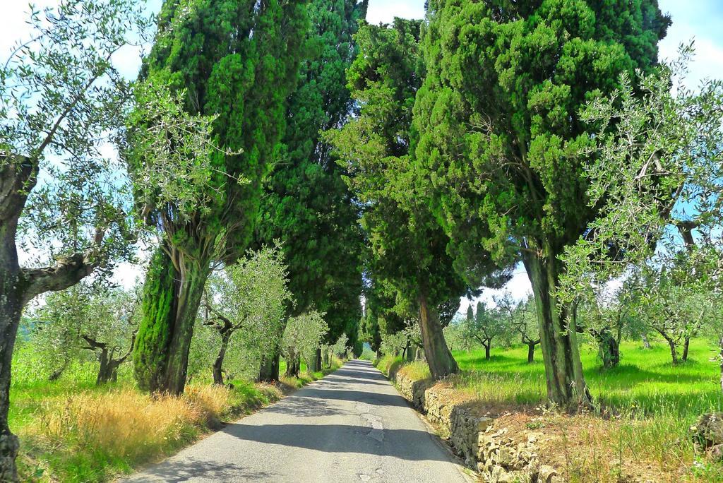 La Sassaia Villa Carmignano Kültér fotó