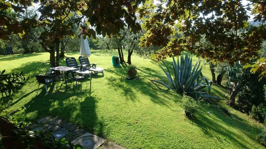 La Sassaia Villa Carmignano Kültér fotó